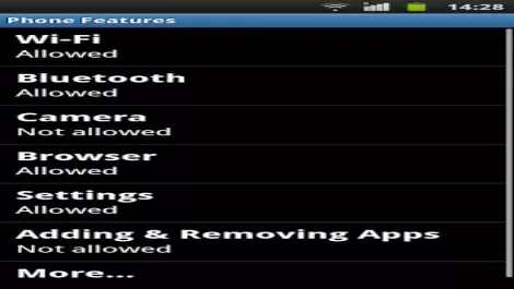 Guardian screen