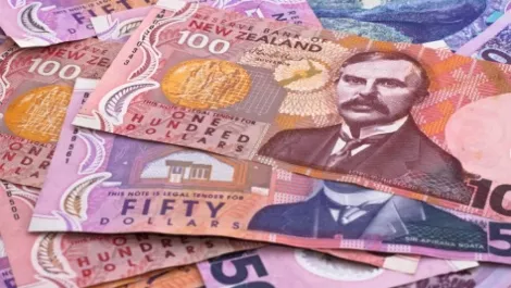 NZ start-up turns to PledgeMe to raise $500,000