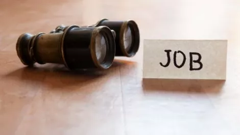 Nz job market remains flat