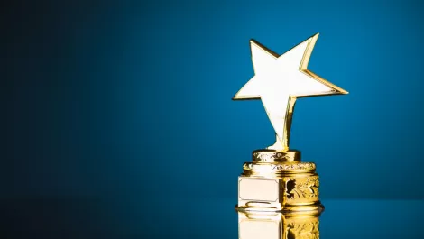 Govt's Charities Services lands technology award