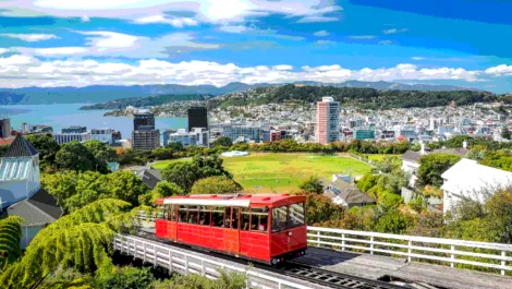 How marketing automation could shape NZ's future